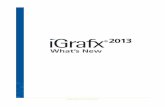 What's New in iGrafx 2011 - Moonsoft