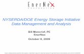 NYSERDA/DOE Energy Storage Initiative Data Management and
