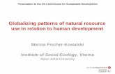 Globalizing patterns of natural resource use in relation to human