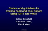 Review and guidelines for treating head and neck tumors using