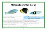 Discover Your World With NOAA Motion from the Ocean