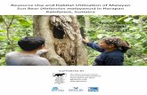 Resource Use and Habitat Utilization of Malayan Sun Bear