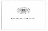 REDACTED REPORT - Office of Special Counsel