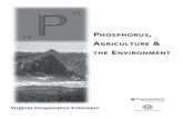 PHOSPHORUS, AGRICULTURE & THE ENVIRONMENT