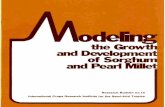 Modeling Sorghum and Pearl Millet