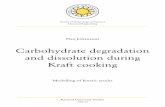 Carbohydrate degradation and dissolution during Kraft - DiVA Portal
