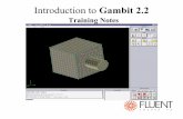Introduction to Gambit 2.2 - Vincent CHAPIN