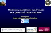 Hereditary myasthenic syndromes: new genes and better ...