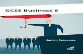 GCSE Business 6 - WJEC