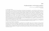 Pathology of Endosulfan - InTech