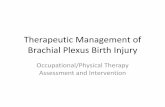 Modern Management of Brachial Plexus Birth Injury - MyABPT