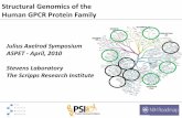 Structural Genomics of the Human GPCR Protein Family