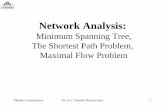 Minimum Spanning Tree, The Shortest Path Problem, Maximal