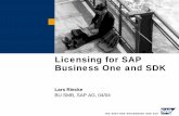 Licensing for SAP Business One and SDK - Welcome | SCN