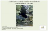 Karst and conduit systems