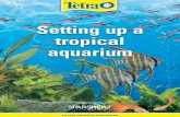 Setting up a tropical aquarium - Tetra
