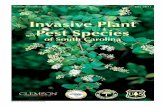 Invasive Plant Pest Species of South Carolina - Southeast Exotic