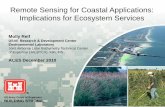 Remote Sensing for Coastal Applications: Implications for
