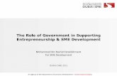The Role of Government in Supporting Entrepreneurship
