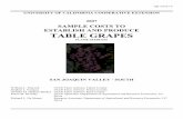 table grapes - Cost & Return Studies - University of California, Davis