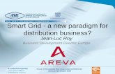 Smart Grid - a new paradigm for distribution business?