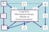 Cognitive Neuropsychology Model of Communication - AAC sig
