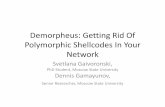Demorpheus: Getting Rid Of Polymorphic Shellcodes In Your Network