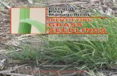 IdentIfyIng grass seedlIngs