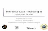 Interactive Data Processing at Massive Scale