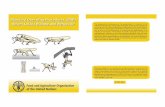 Standard Operating Procedures (SOP) Desert Locust Biology ...