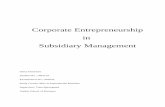 Corporate Entrepreneurship in Subsidiary Management - PURE