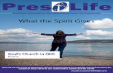 What the Spirit Gives - PCQ