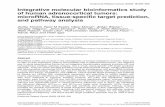 Integrative molecular bioinformatics study of human adrenocortical tumors: microRNA, tissue