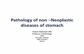 Pathology of non –Neoplastic diseases of stomach