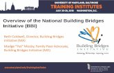 Overview of the National Building Bridges Initiative (BBI)