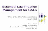 Essential Law Practice Management for GALs