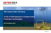 SMI Subsea R&D Workshop A Life of Field Approach to Subsea ...