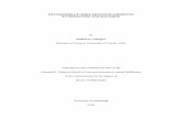 MECHANISMS OF NMDA RECEPTOR INHIBITION BY MEMANTINE AND ...