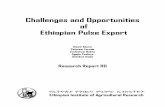 Challenges and Opportunities of Ethiopian Pulse Export