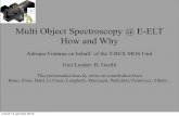 Multi Object Spectroscopy @ E-ELT How and Why