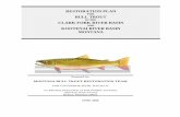 Restoration Plan for Bull Trout - Montana Fish, Wildlife & Parks