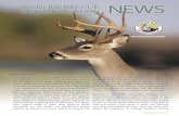 NEWS - Wildlife Rescue & Rehabilitation
