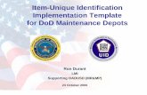 Item-Unique Identification Implementation Template for DoD ...