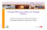 Energy Efficiency with Low Voltage Motors