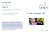 Duplications of 16p FTNS - Unique