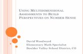 Using Multidimensional Assessments to Build Perspectives ...