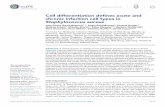 Cell differentiation defines acute and chronic infection ...