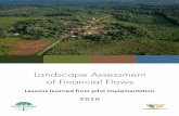 Landscape Assessment of Financial Flows