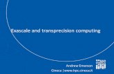 Exascale and transprecision computing