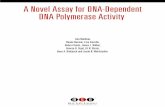 A Novel Assay for DNA-Dependent DNA Polymerase Activity